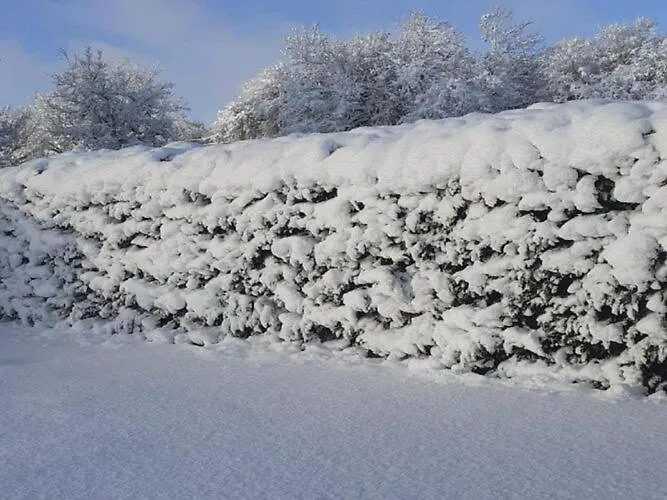 Spacious Holiday Home With Nordic Spa Caniac-du-Causse